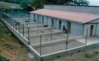Pension chiens mazamet