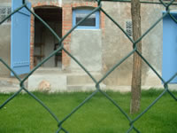 Garderie pour chats