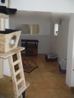 cattery in mazamet