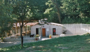 Dog Kennel and Cattery